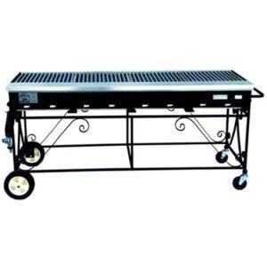 Barbecue – Propane – 2’x6′